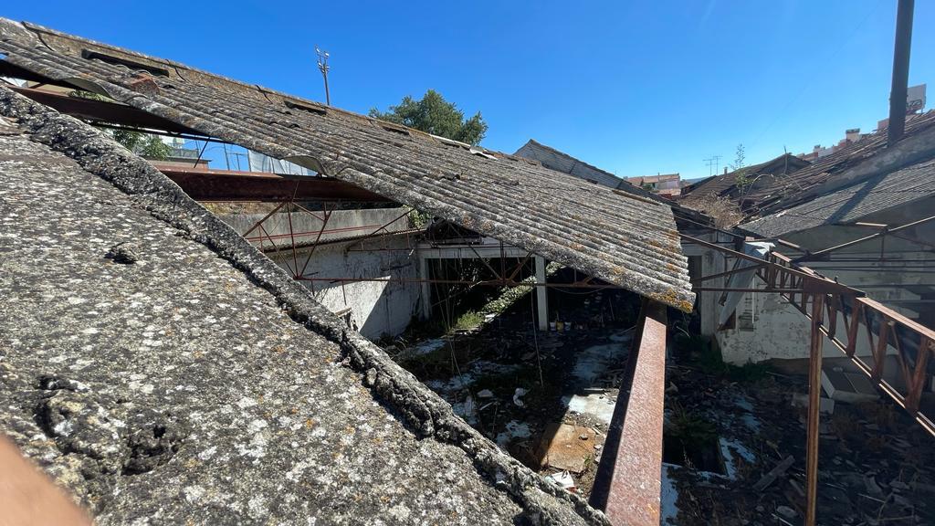 Cobertura de fibrocimento coberta de líquenes, com um rasgão por onde se vê o interior do armazém invadido por vegetação e lixo, e os telhados do casario vizinho contra o céu azul.
