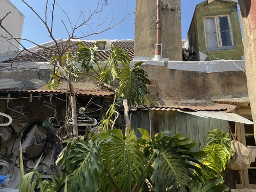Logradouro de um prédio antigo visto de uma janela: telheiros de chapa ondulada sobre arrecadações cheias de tralha, uma chaminé metálica, roupa estendida e grandes folhas de costela-de-adão em primeiro plano.